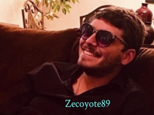 zecoyote89 xxx Fantasy Land