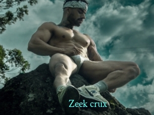 Zeek_crux