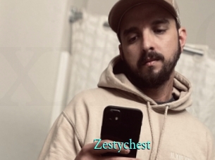 Zestychest