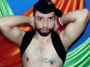 Zevit