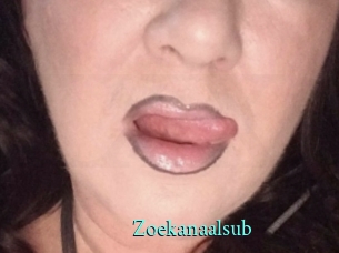 Zoekanaalsub